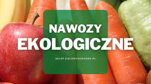 Ekologiczne nawozy do owoców i warzyw | Jakie wybrać i gdzie kupić?