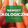 Ekologiczne nawozy do owoców i warzyw | Jakie wybrać i gdzie kupić?