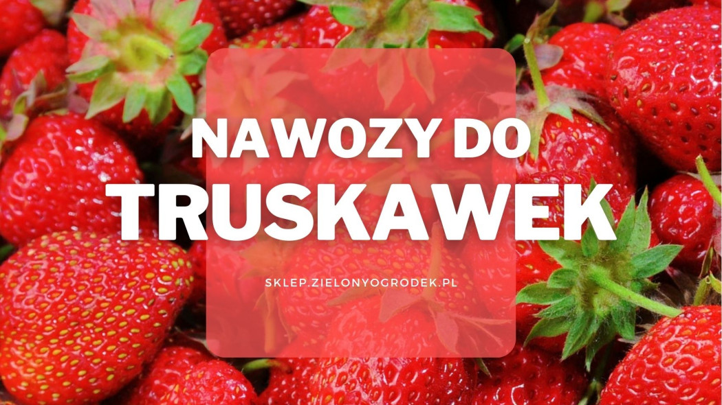 Nawozy do truskawek, Sklep ZielonyOgródek