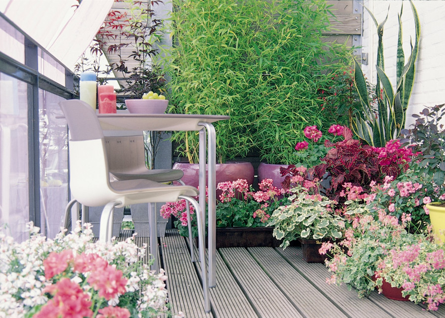 Zakładanie ogrodu na balkonie, fot. thejoyofplants.co.uk