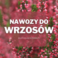 Nawozy do wrzosów | Jakie wybrać i gdzie kupić?