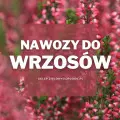 Nawozy do wrzosów | Jakie wybrać i gdzie kupić?