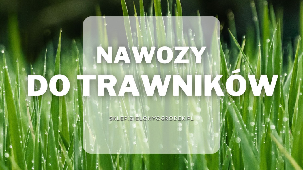 Nawozy do trawników Sklep ZielonyOgrodek