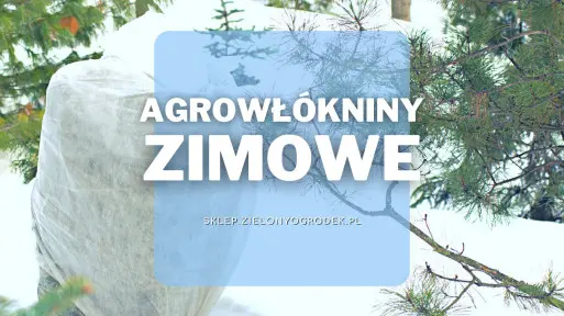 Agrowłókniny zimowe do ochrony przed mrozem | Jakie wybrać i gdzie kupić?