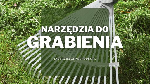 Narzędzia do grabienia | Jakie wybrać i gdzie kupić?