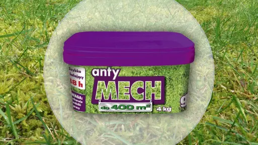 Anty Mech | Jak wybrać i gdzie kupić?