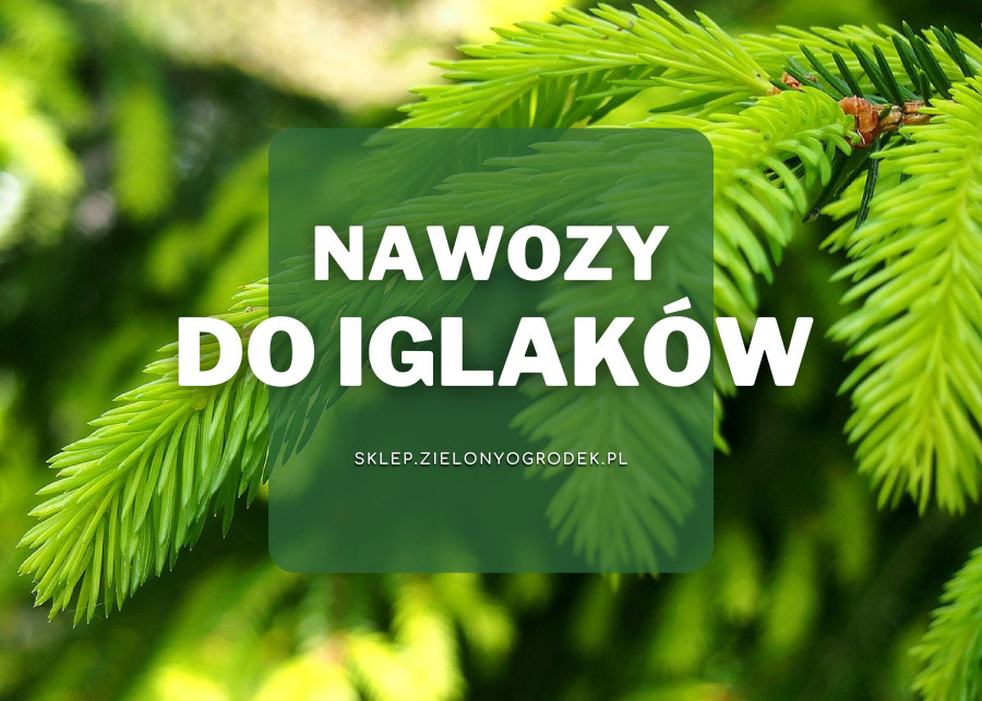 Nawozy do iglaków Sklep ZielonyOgródek pl