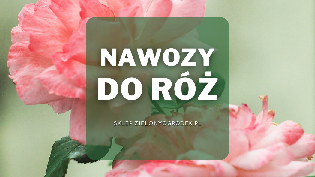 Nawozy do róż Sklep ZielonyOgródek pl