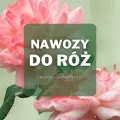 Nawozy do róż | Jakie wybrać i gdzie kupić?