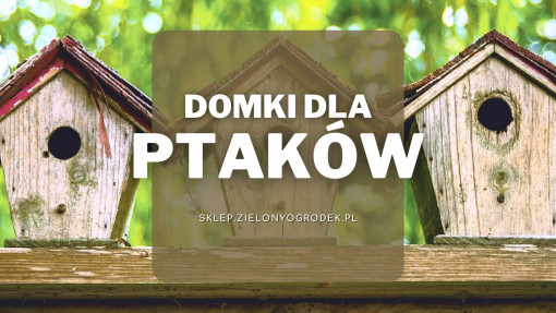 Domki dla ptaków | Jakie wybrać i gdzie kupić?