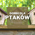 Domki dla ptaków | Jakie wybrać i gdzie kupić?