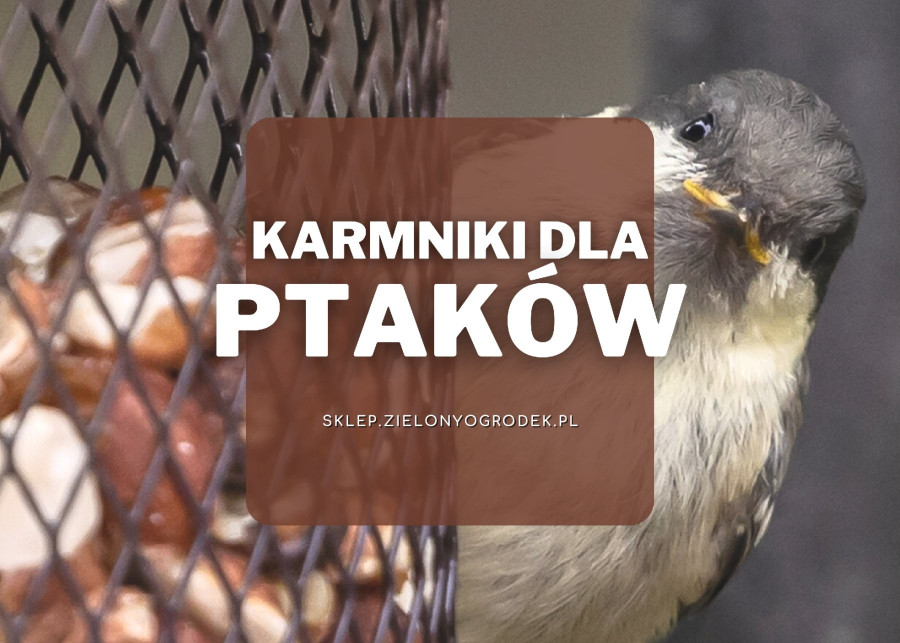 Karmniki dla ptaków, Sklep ZielonyOgródek pl