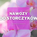 Nawozy do storczyków | Jakie wybrać i gdzie kupić?