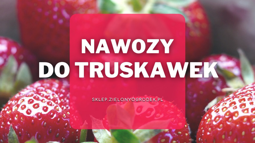 Nawozy do truskawek, Sklep ZielonyOgródek