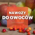 Nawozy do roślin owocowych | Jakie wybrać i gdzie kupić?