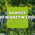 Nawozy do warzyw i ziół | Jakie wybrać i gdzie kupić?