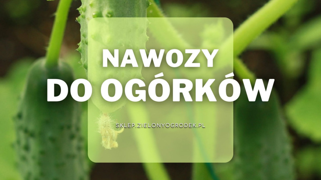 Nawozy do ogórków, Sklep ZielonyOgrodek pl