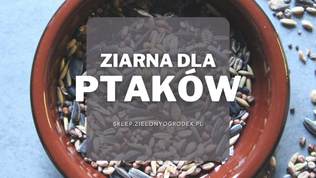 Ziarna pokarm dla ptaków zimujących