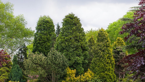 Hall Place Garden – angielski ogród tarasowy