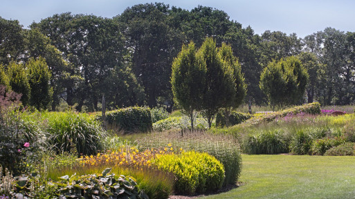 Sussex Prairie Garden – angielski ogród preriowy