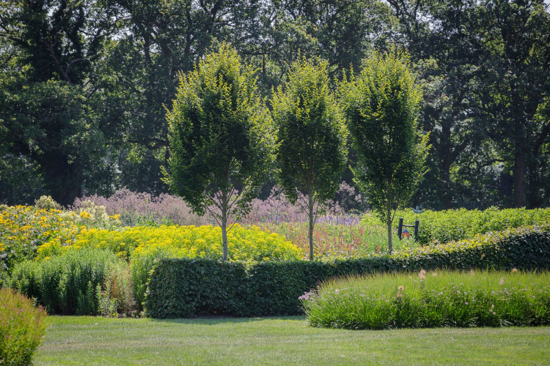 Sussex Prairie Garden angielski ogród preriowy, fot. Tomasz Ciesielski - Lider Biznesu