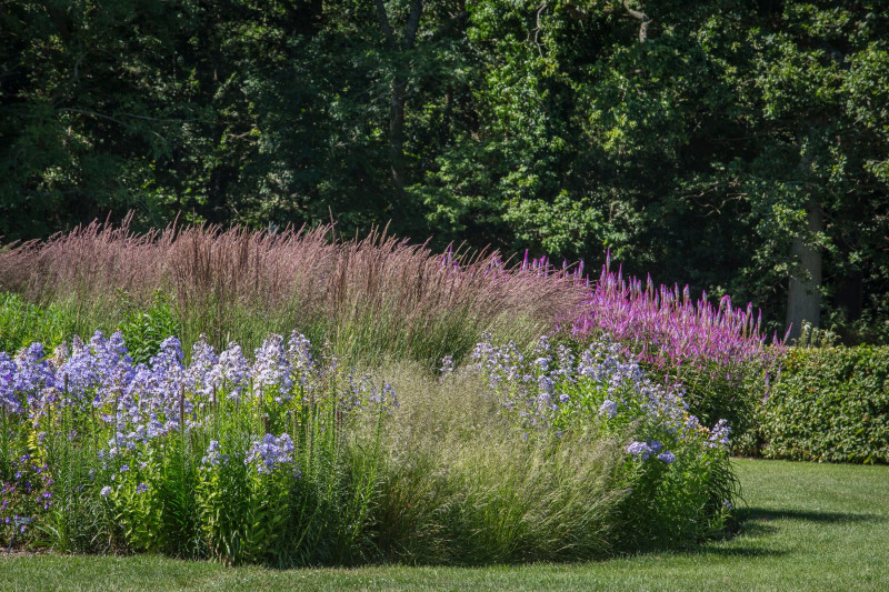 Sussex Prairie Garden angielski ogród preriowy, fot. Tomasz Ciesielski - Lider Biznesu