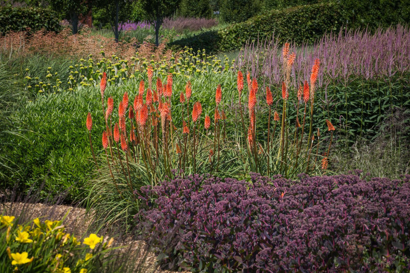 Sussex Prairie Garden angielski ogród preriowy, fot. Tomasz Ciesielski - Lider Biznesu