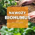 Nawozy Biohumus | Jakie wybrać i gdzie kupić?