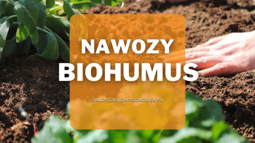 Nawozy Biohumus | Jakie wybrać i gdzie kupić?