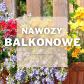 Nawozy do kwiatów balkonowych | Jakie wybrać i gdzie kupić?