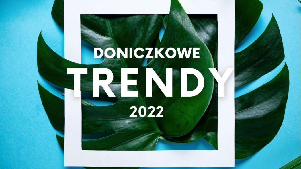 doniczkowe trendy 2022