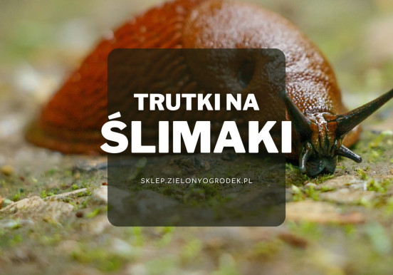 Trutki na ślimaki | Jakie wybrać i gdzie kupić?