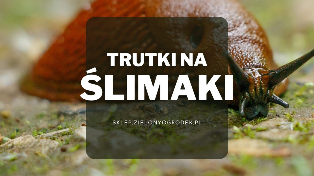 Trutki na ślimaki najlepsze Sklep ZielonyOgrodekPl