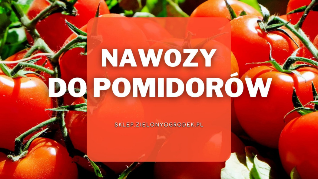 Nawozy do pomidorów Sklep ZielonyOgrodekPl