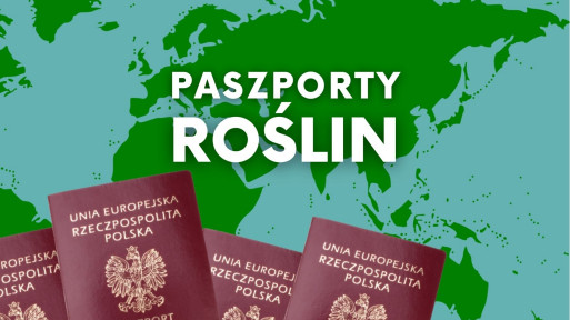 Paszport roślin – czym jest i dlaczego każda roślina musi go mieć?