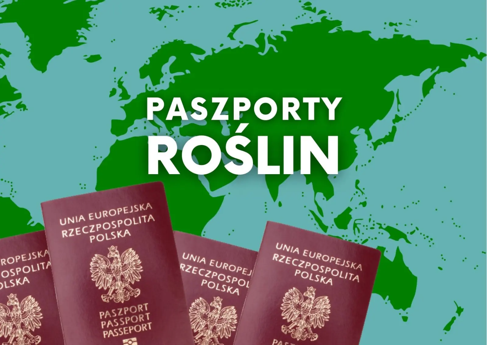 Paszport roślin – czym jest i dlaczego każda roślina musi go mieć?