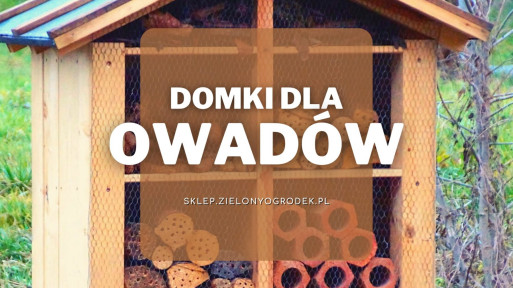 Domki dla owadów | Jakie wybrać i gdzie kupić?