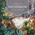 Uprawa rozchodników w ogrodzie | Jakie wybrać? Jak pielęgnować?