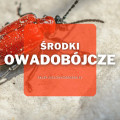 Środki owadobójcze | Jakie wybrać i gdzie kupić?