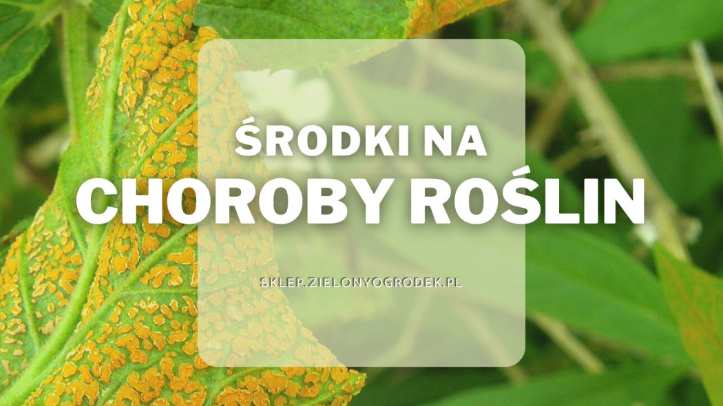 Środki na choroby roślin Sklep ZielonyOgródek Pl