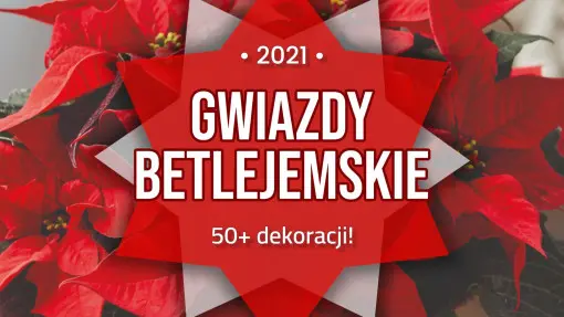50+ pomysłów na stroiki świąteczne z gwiazdami betlejemskimi | Galeria inspiracji