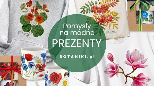 45+ pomysłów na prezent dla miłośnika roślin | Nowości od Botaniki.pl