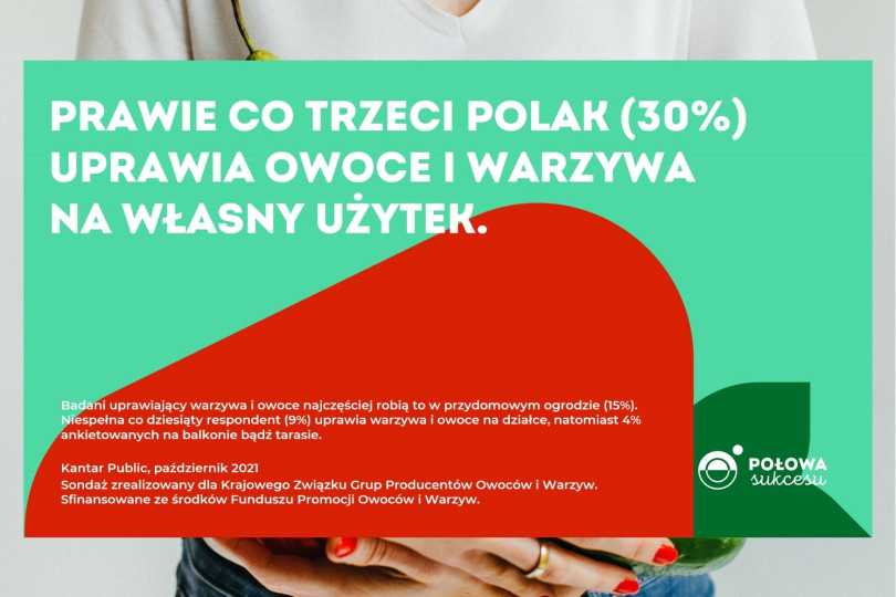 Co trzeci Polak uprawia owoce i warzywa na własny użytek