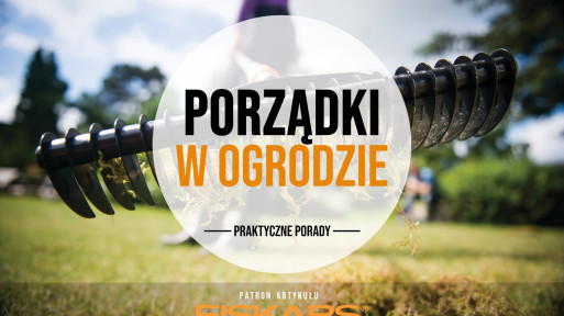 Jesienne porządki w ogrodzie | Praktyczne porady i niezbędne narzędzia