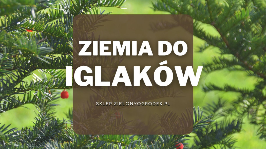 Ziemia do iglaków najlepsza, Sklep ZielonyOgrodek pl