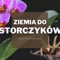 Ziemia do storczyków | Jaką wybrać i gdzie kupić?