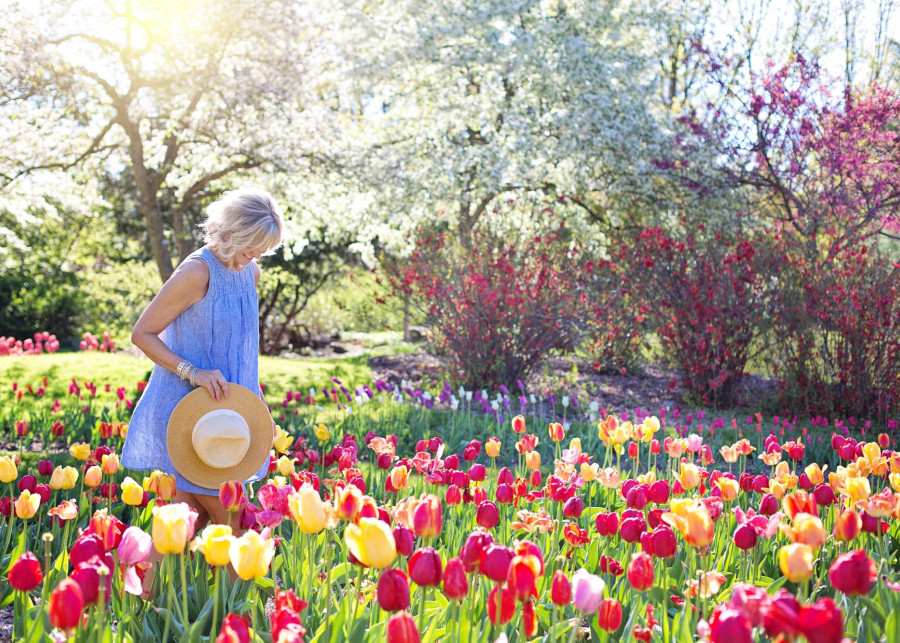 ogród pełen kwiatów przez cały rok fot. Jill Wellington z Pexels