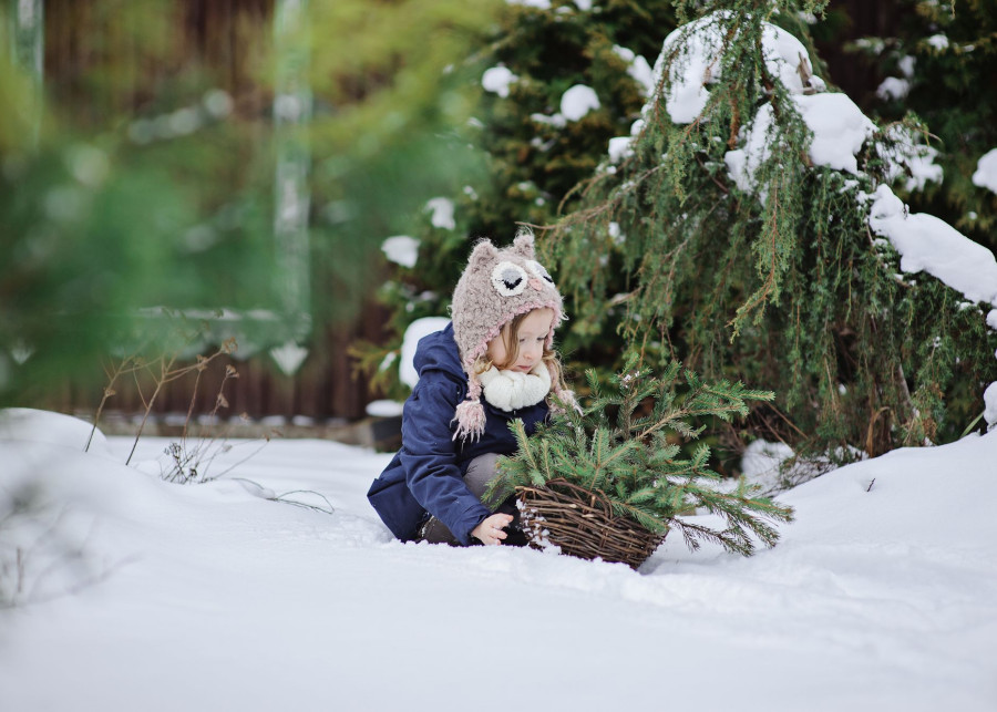 Jak zadbać o ogród zimą fot. mashiki - Depositphotos