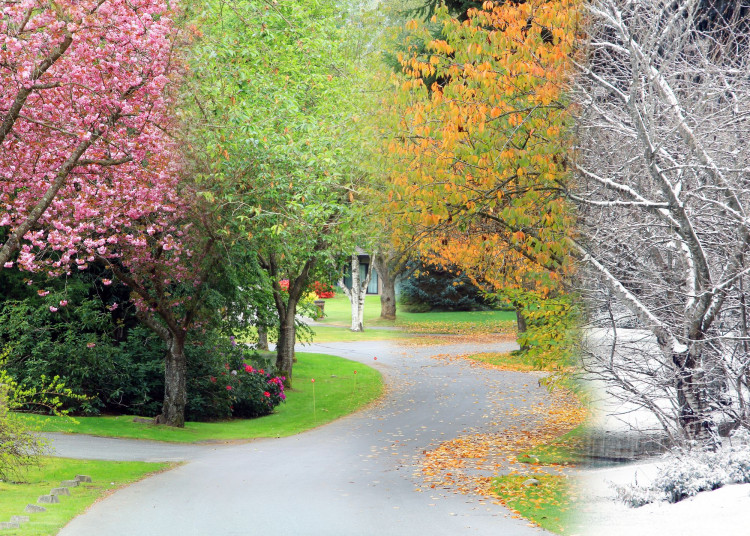 Cztery pory roku w ogrodzie | Lista prac do zrobienia