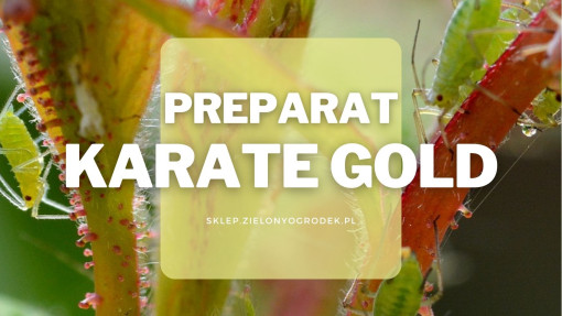 Karate Gold – preparat do zwalczania szkodników roślin ozdobnych